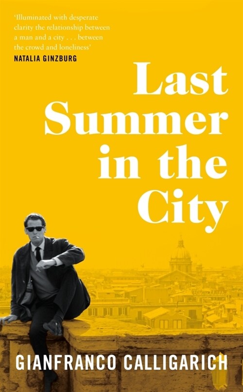 Last Summer in the City (Hardcover)