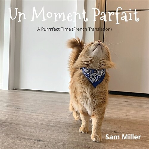 Un Moment Parfait (Paperback)