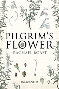 Pilgrims Flower (Paperback)