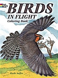 Birds in Flight Coloring Book (Paperback)
