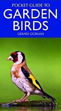 Pocket Guide to Garden Birds (Paperback)