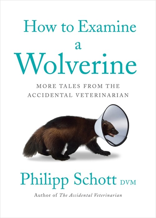 How to Examine a Wolverine: More Tales from the Accidental Veterinarian (Paperback)