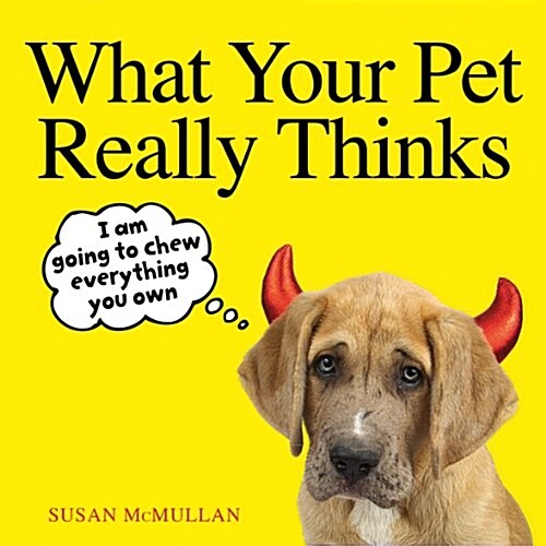 What Your Cat Really Thinks (Hardcover)