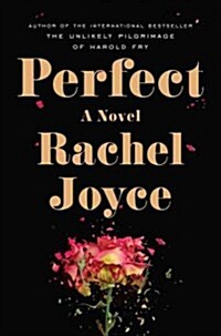 Perfect (Hardcover)