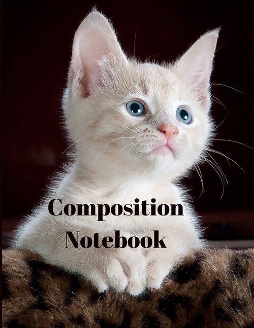 Composition notebook (Paperback)