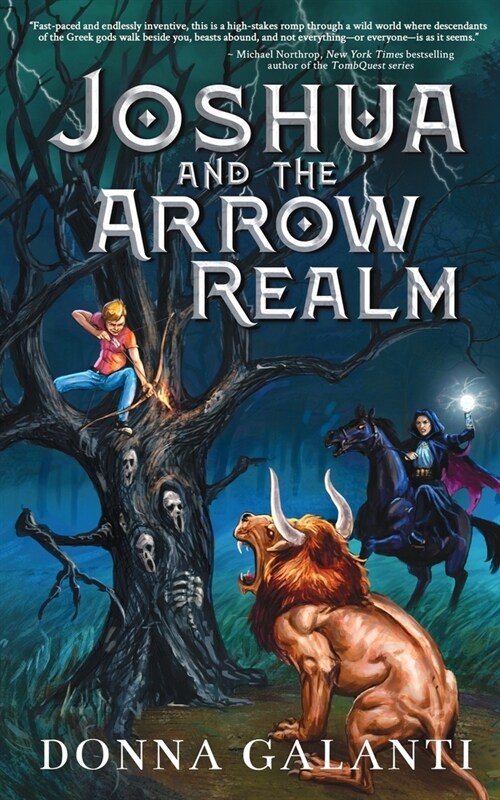 Joshua and the Arrow Realm (Paperback)