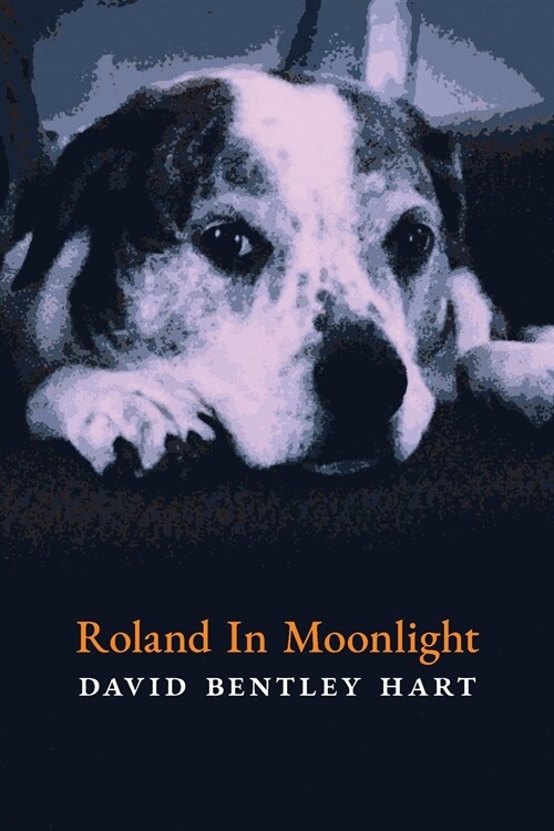 Roland in Moonlight (Paperback)