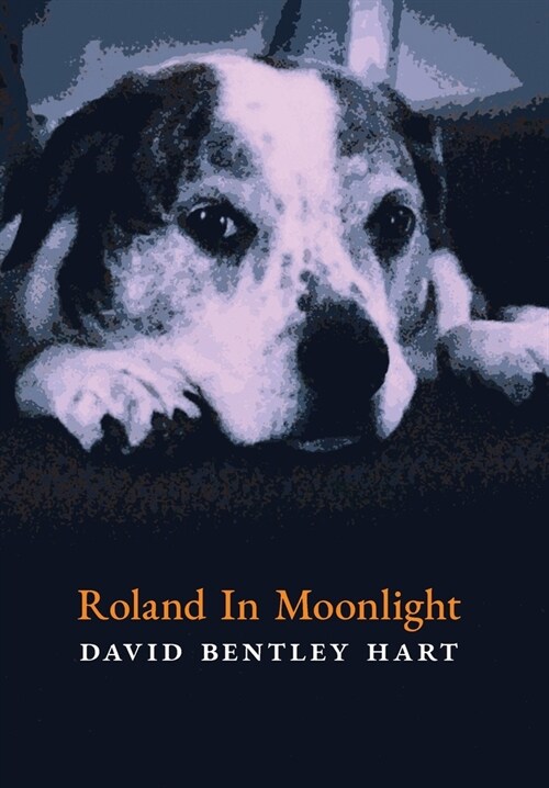 Roland in Moonlight (Hardcover)