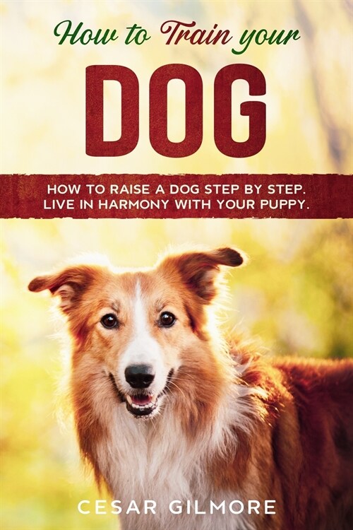 How to Train Your Dog: How to Raise a Dog Step by Step. Live in Harmony with your Puppy. (Paperback)