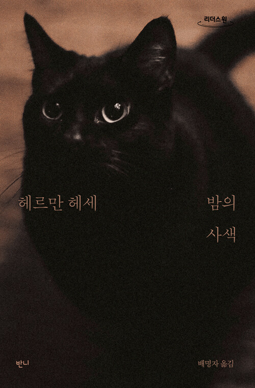 [큰글자도서] 밤의 사색 