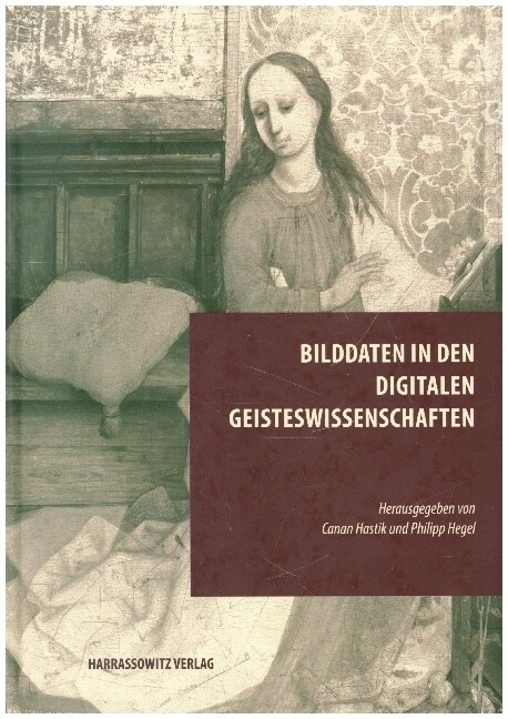 Bilddaten in Den Digitalen Geisteswissenschaften (Hardcover)
