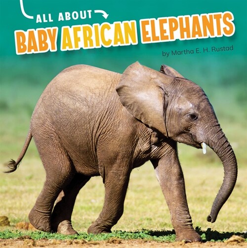 All about Baby African Elephants (Hardcover)