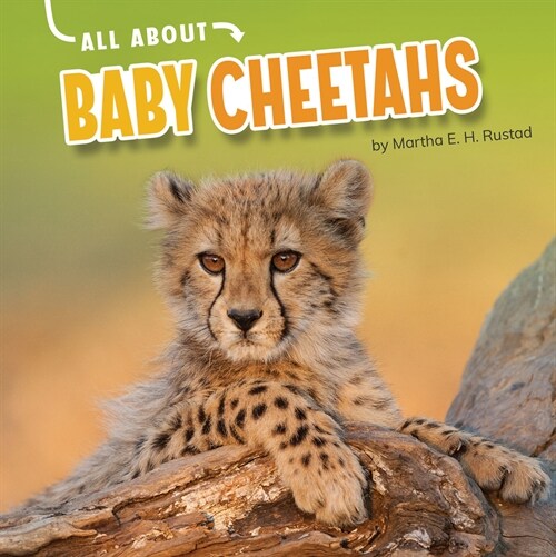 All about Baby Cheetahs (Hardcover)