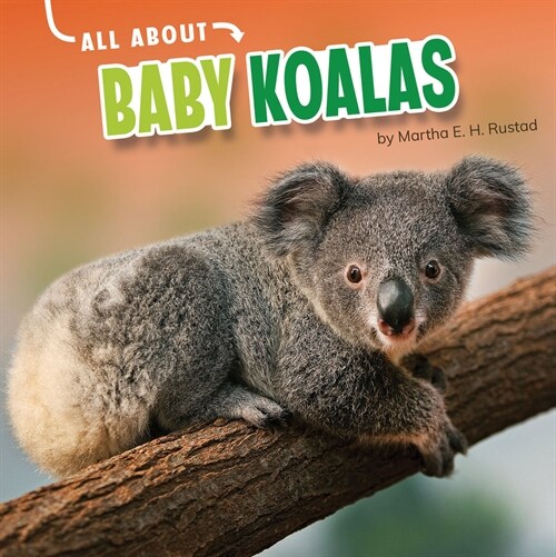 All about Baby Koalas (Hardcover)