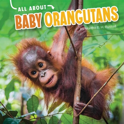 All about Baby Orangutans (Hardcover)