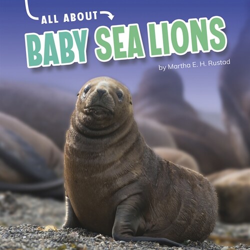 All about Baby Sea Lions (Hardcover)