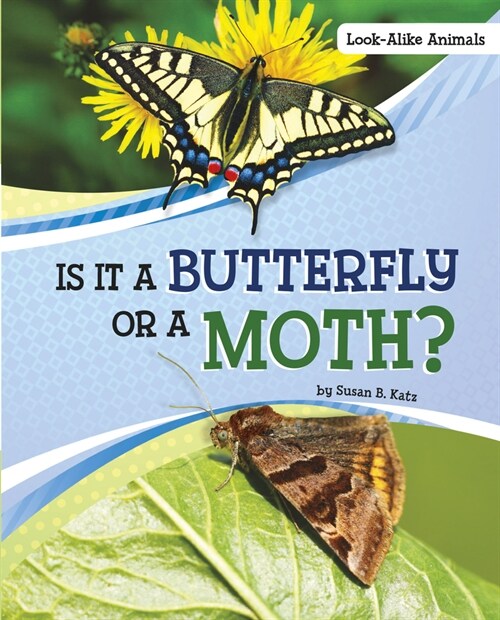 Is It a Butterfly or a Moth? (Hardcover)