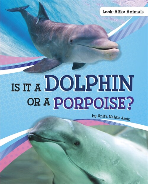 Is It a Dolphin or a Porpoise? (Hardcover)