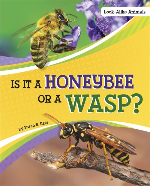 Is It a Honeybee or a Wasp? (Hardcover)
