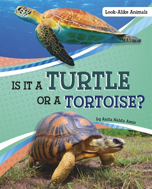 Is It a Turtle or a Tortoise? (Hardcover)