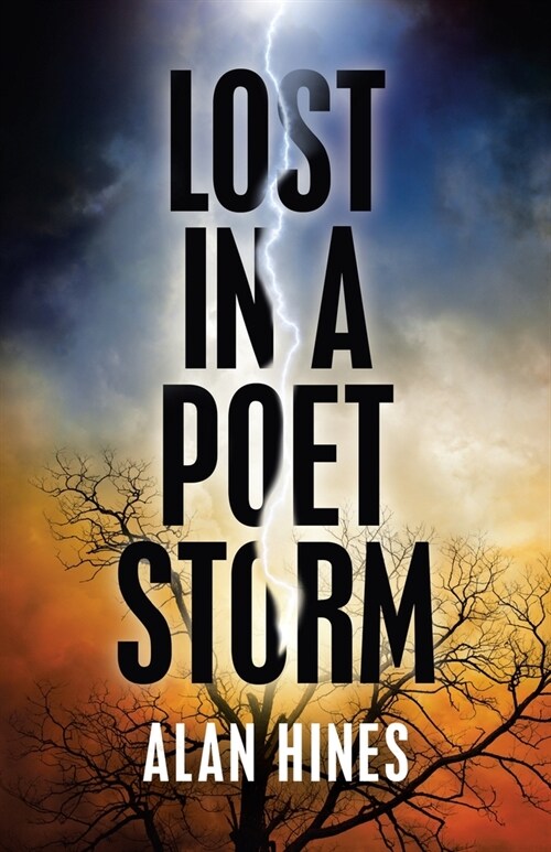 Lost in a Poet Storm (Paperback)