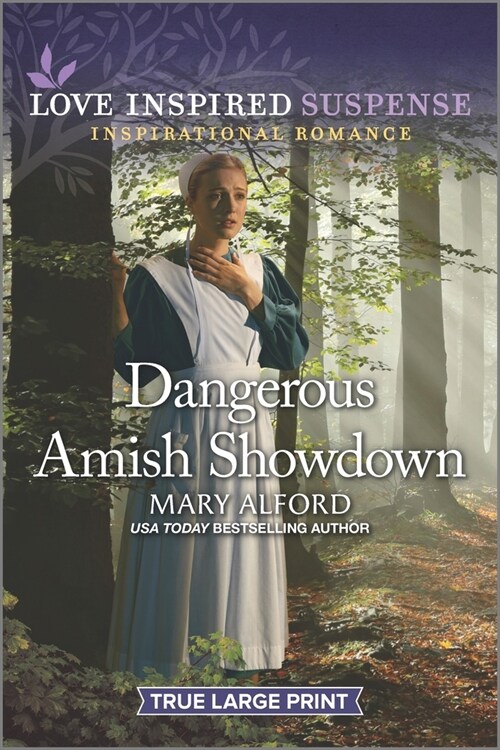 Dangerous Amish Showdown (Paperback)