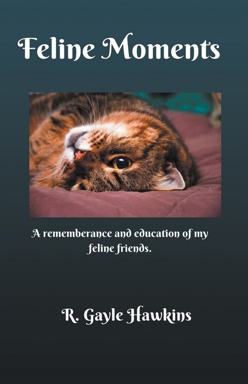 Feline Moments (Paperback)