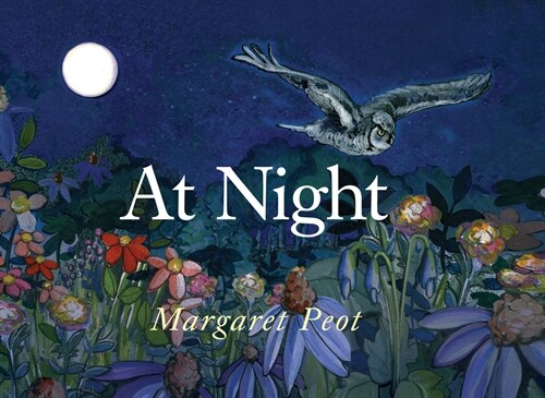 At Night (Hardcover)