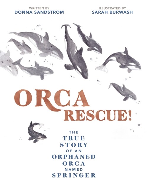 Orca Rescue!: The True Story of an Orphaned Orca Named Springer (Hardcover)