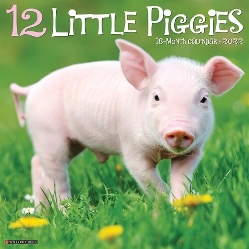 12 Little Piggies 2022 Wall Calendar (Wall)