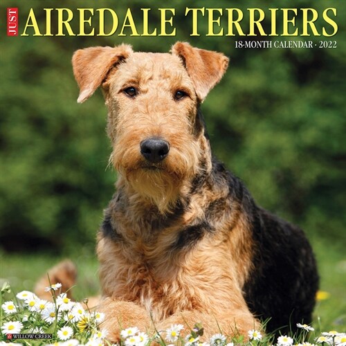 Just Airedale Terriers 2022 Wall Calendar (Dog Breed) (Wall)