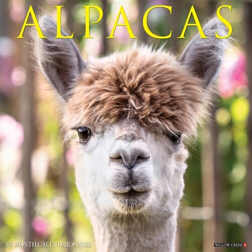 Alpacas 2022 Wall Calendar (Wall)