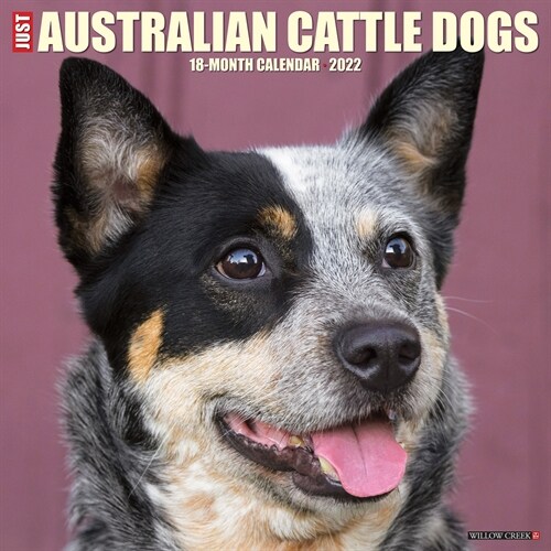 Just Australian Cattle Dogs 2022 Wall Calendar (Dog Breed) (Wall)