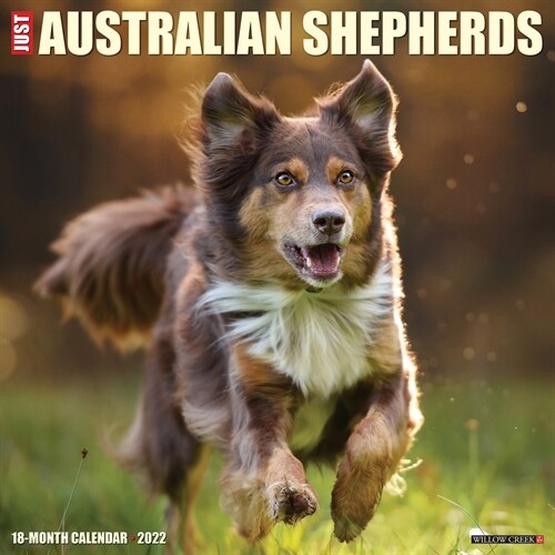 Just Australian Shepherds 2022 Wall Calendar (Dog Breed) (Wall)
