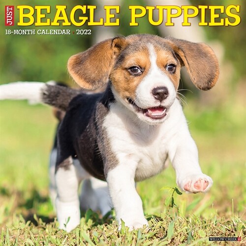 Just Beagle Puppies 2022 Wall Calendar (Dog Breed) (Wall)