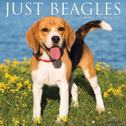 Just Beagles 2022 Wall Calendar (Dog Breed) (Wall)
