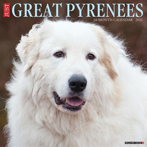 Just Great Pyrenees 2022 Wall Calendar (Dog Breed) (Wall)