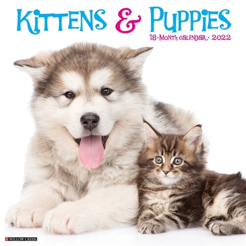 Kittens & Puppies 2022 Wall Calendar (Wall)