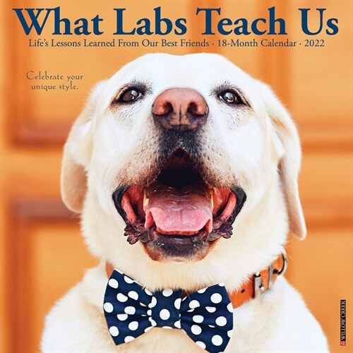 What Labs Teach Us 2022 Wall Calendar (Labrador Retriever Dogs, Dog Breed) (Wall)