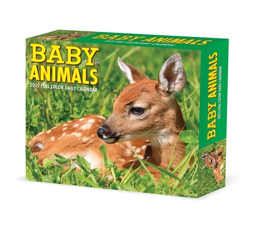 Baby Animals 2022 Box Calendar, Daily Desktop (Daily)