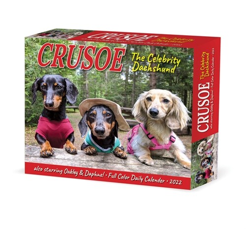 Crusoe the Celebrity Dachshund 2022 Box Calendar, Daily Desktop (Daily)