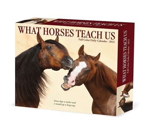 What Horses Teach Us 2022 Box Calendar, Daily Desktop (Daily)