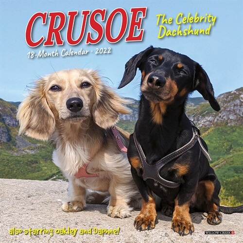 Crusoe the Celebrity Dachshund 2022 Mini Wall Calendar (Mini)