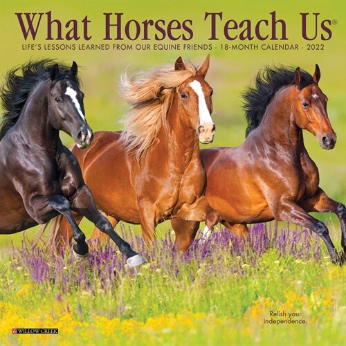 What Horses Teach Us 2022 Mini Wall Calendar (Mini)