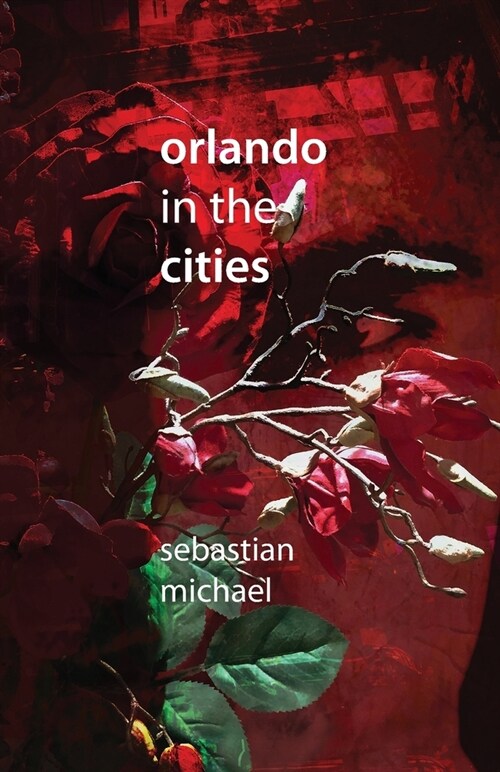 Orlando in the Cities (Paperback)