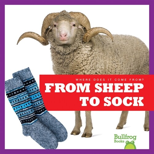 From Sheep to Sock (Paperback)