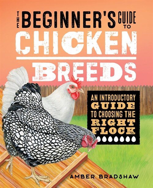 The Beginners Guide to Chicken Breeds: An Introductory Guide to Choosing the Right Flock (Paperback)