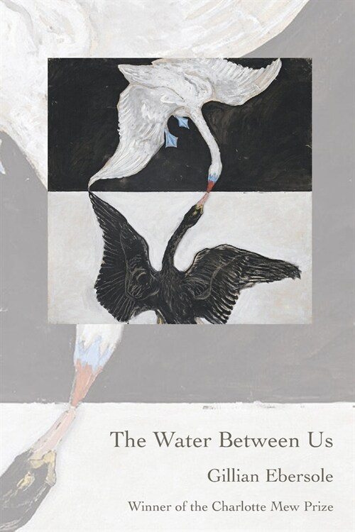 The Water Between Us (Paperback)