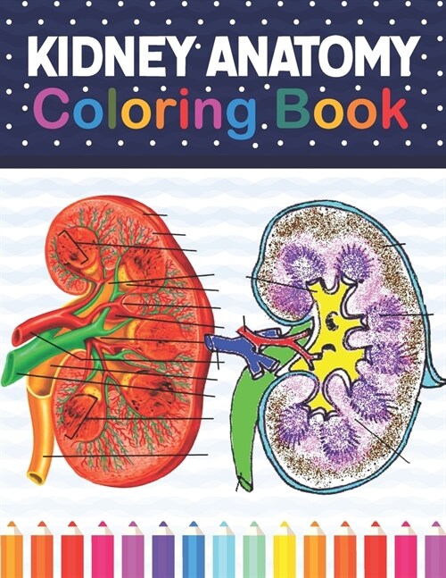 Kidney Anatomy Coloring Book: Fun and Easy Human Kidney Anatomy Coloring Book. Learn The Human Kidney Anatomy With Fun & Easy. Human Kidney Anatomy (Paperback)
