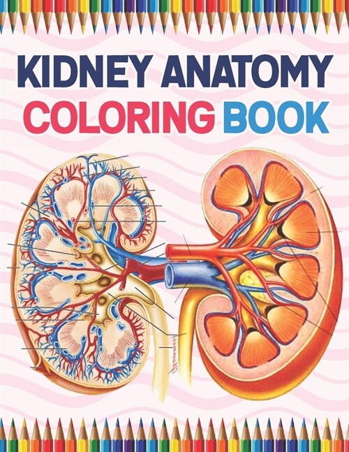 Kidney Anatomy Coloring Book: Medical Anatomy Coloring Book for kids Boys and Girls. Physiology Coloring Book for kids. Stress Relieving, Relaxation (Paperback)